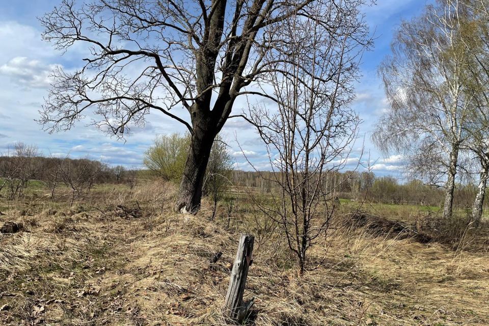 земля городской округ Зарайск д. Черемошня фото 4