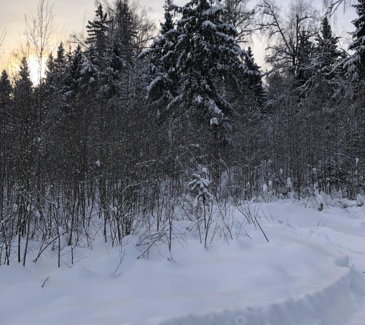 земля городской округ Дмитровский фото 4