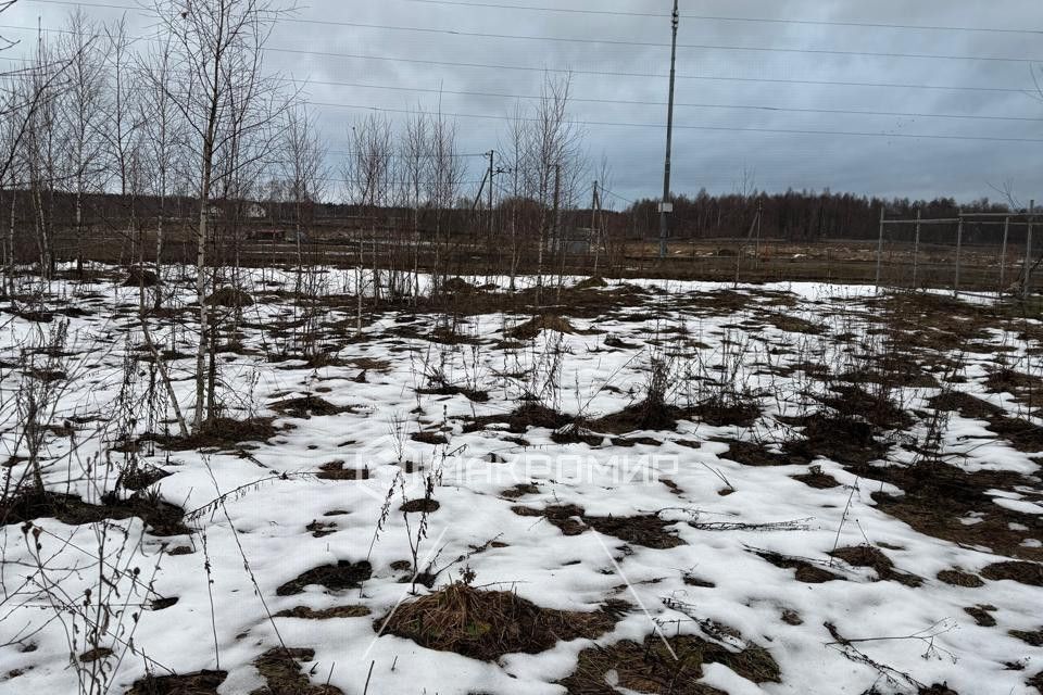 земля городской округ Можайский д. Денисьево фото 3