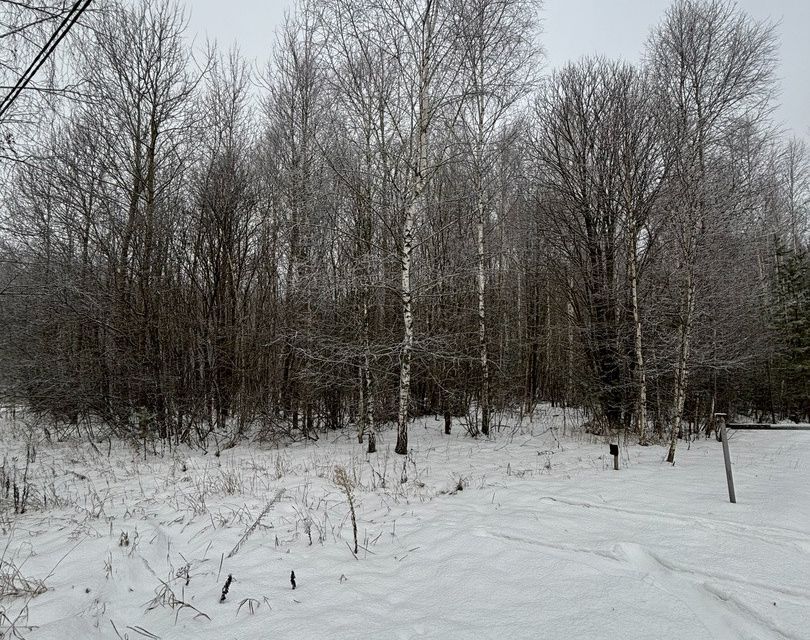 земля Коломна городской округ, СНТ Автомобилист фото 2