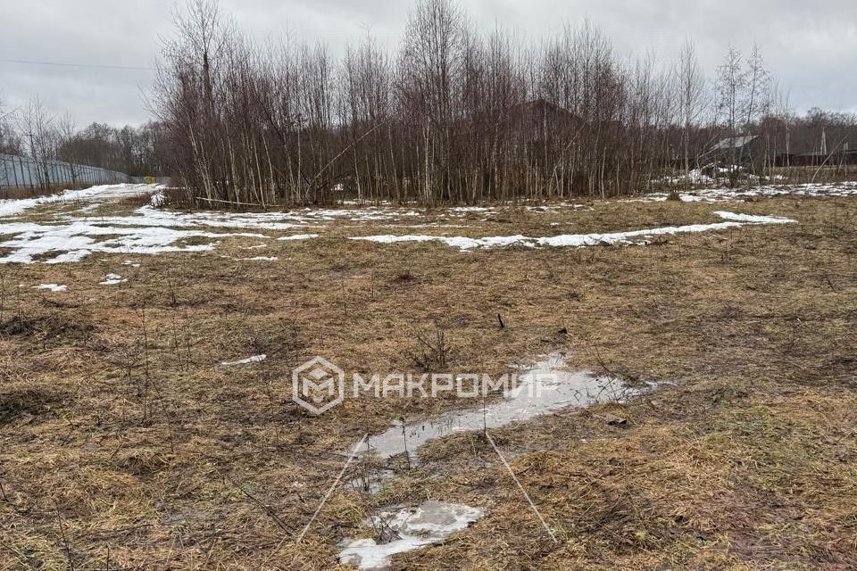 земля городской округ Можайский д. Денисьево фото 4