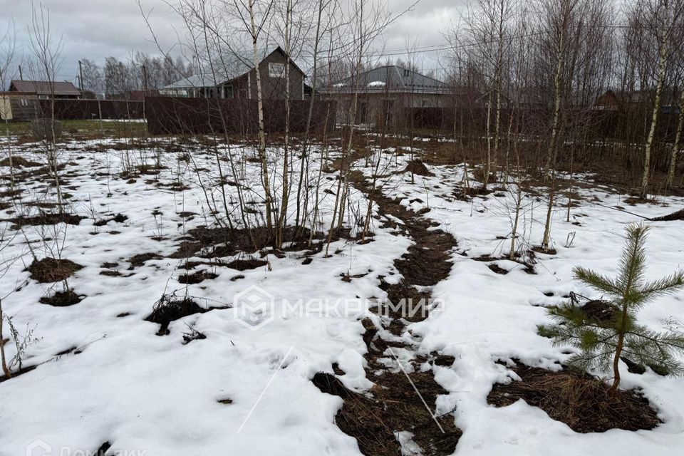 земля городской округ Можайский д. Денисьево фото 4