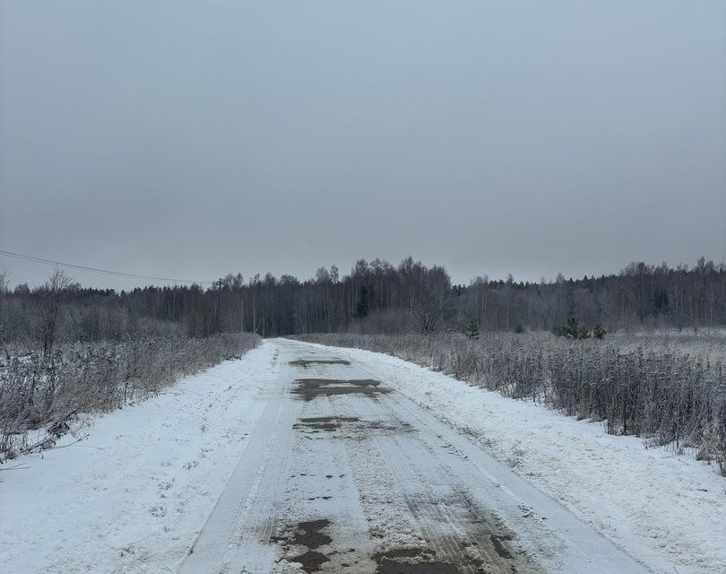 земля Коломна городской округ, СНТ Автомобилист фото 4