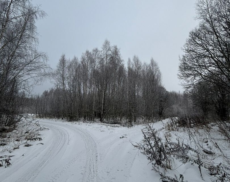 земля Коломна городской округ, СНТ Автомобилист фото 3