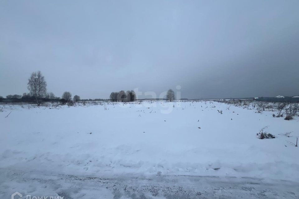 земля городской округ Дмитровский д. Тимофеево фото 2