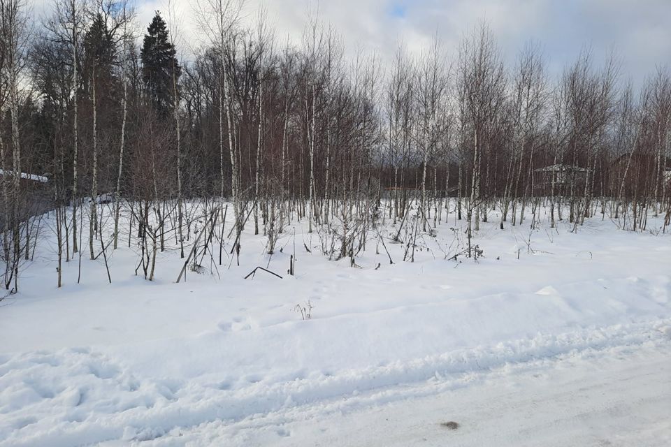 земля городской округ Пушкинский д Бортнево улица Суворова, 17, Бортнево-5 фото 3