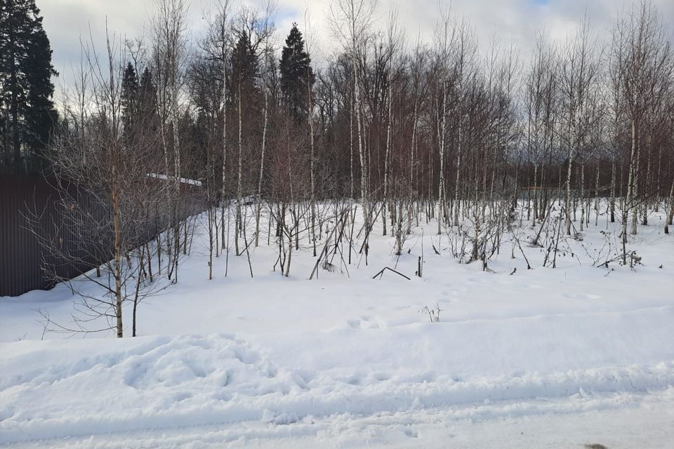 земля городской округ Пушкинский д Бортнево улица Суворова, 17, Бортнево-5 фото 4