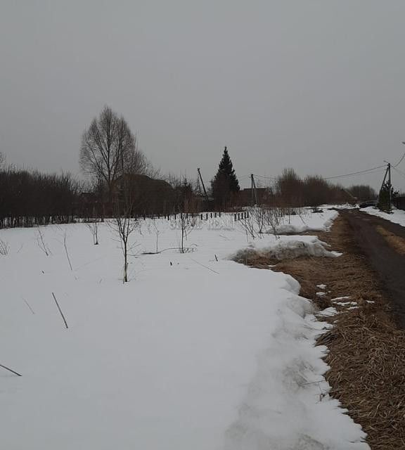 земля городской округ Раменский д. Фоминское фото 3