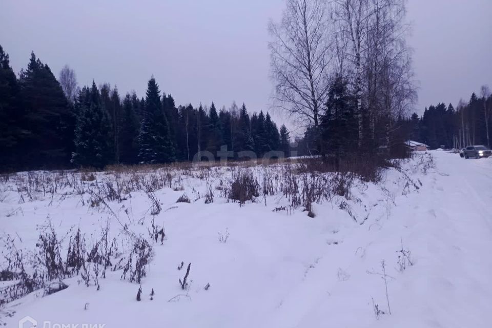 земля городской округ Раменский СНТ Гжельский лес фото 4