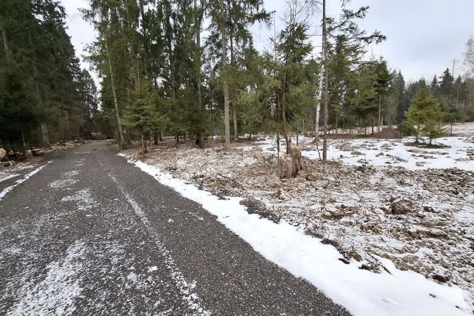 земля городской округ Наро-Фоминский д. Селятино фото 4