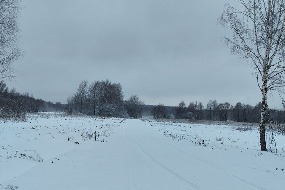 земля городской округ Орехово-Зуевский Кудыкино Лайф фото 2