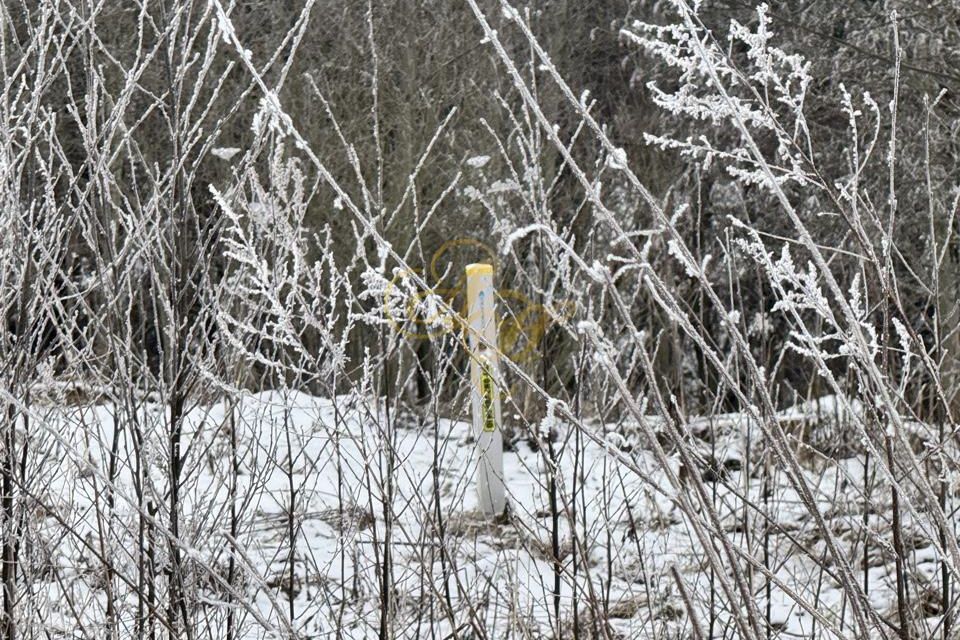 земля городской округ Клин Высоковск фото 4