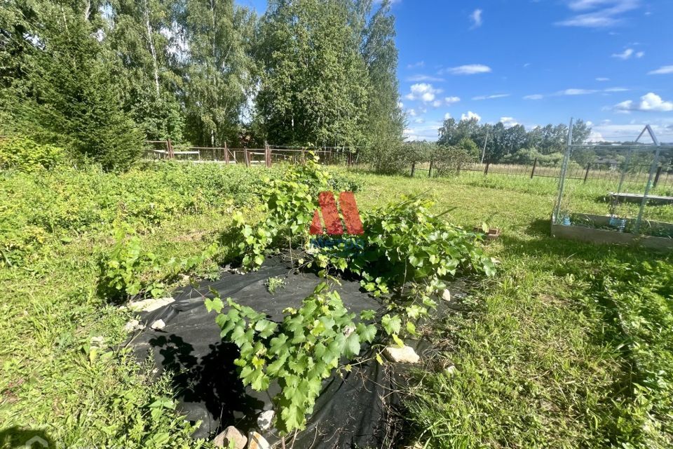 земля городской округ Пушкинский д Талицы 2 фото 2