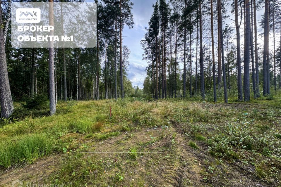 земля р-н Приозерский д Раздолье Солнечный орнамент фото 2