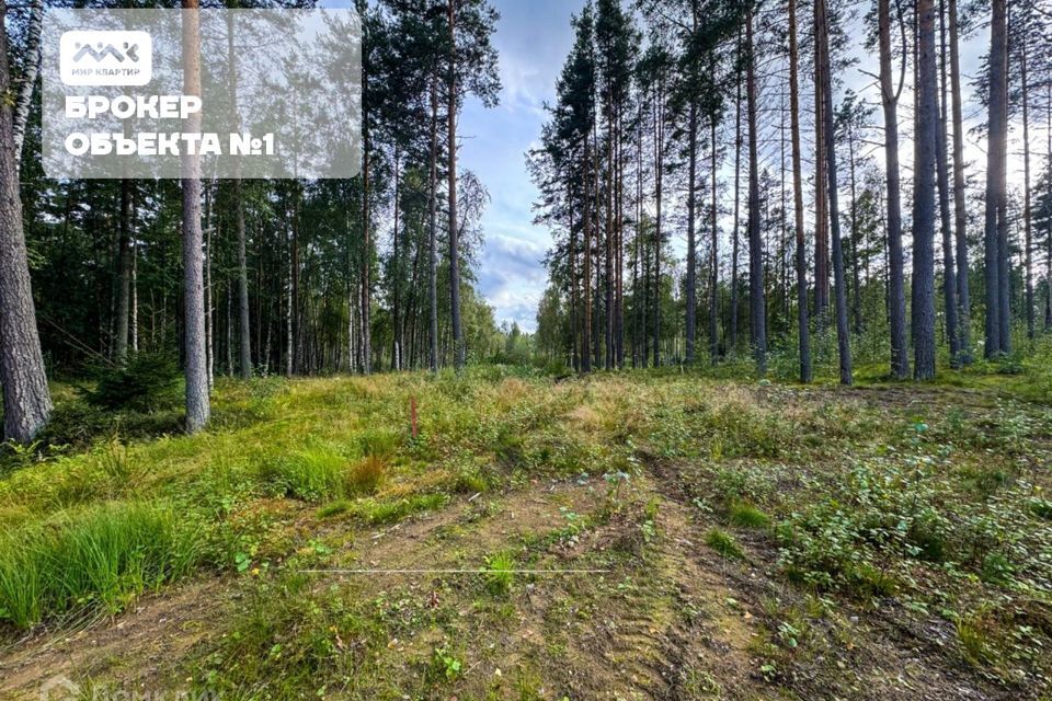 земля р-н Приозерский д Раздолье Солнечный орнамент фото 4