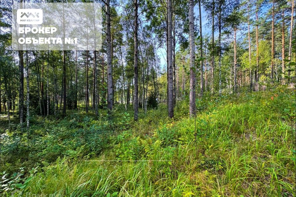 земля р-н Приозерский д Раздолье Солнечный орнамент фото 4