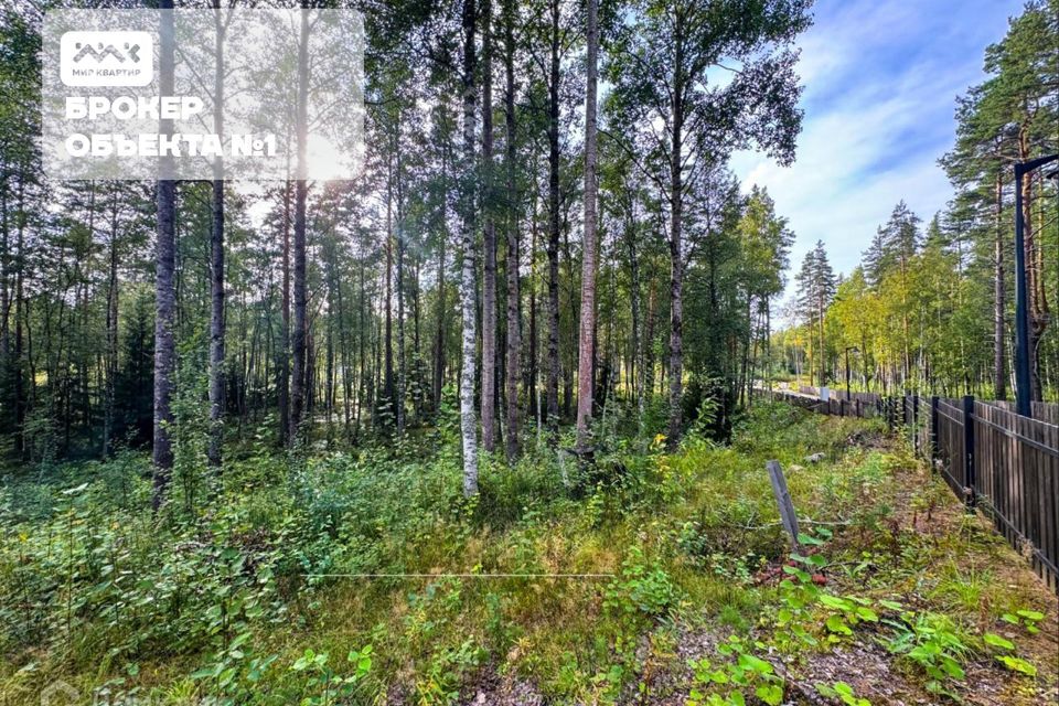 земля р-н Приозерский д Раздолье Солнечный орнамент фото 3