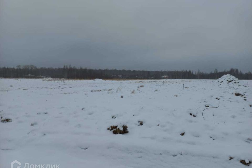 земля р-н Всеволожский фото 2