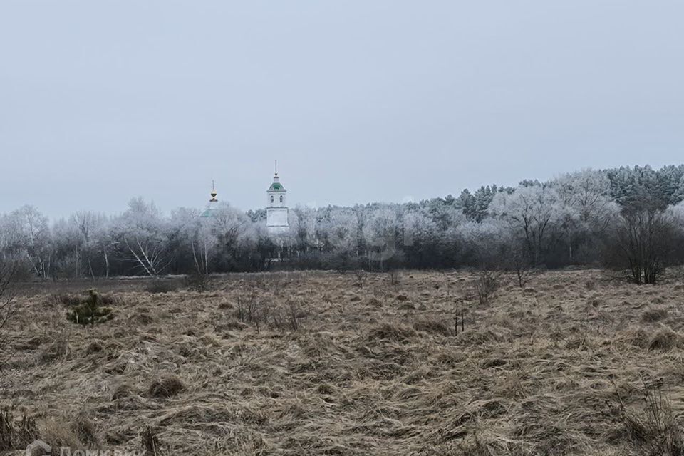 дом городской округ Павловский Посад д. Ковригино фото 2