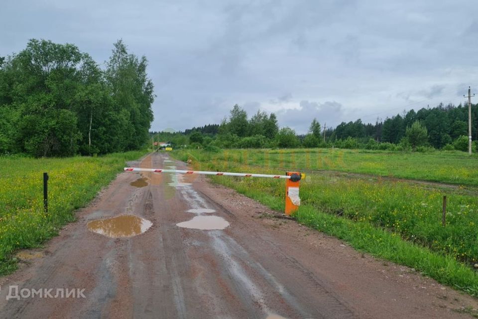 земля р-н Выборгский фото 4