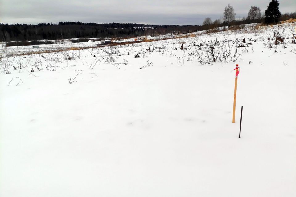 земля городской округ Дмитровский Медведки фото 2