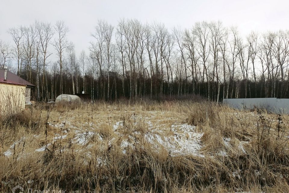 земля городской округ Раменский с Никитское Усадьба Никитское фото 3