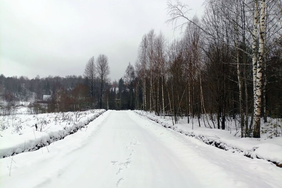 земля городской округ Дмитровский Домик в Лесу, 127 фото 2