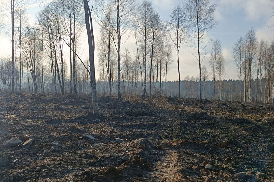 земля городской округ Клин д. Покровка фото 4