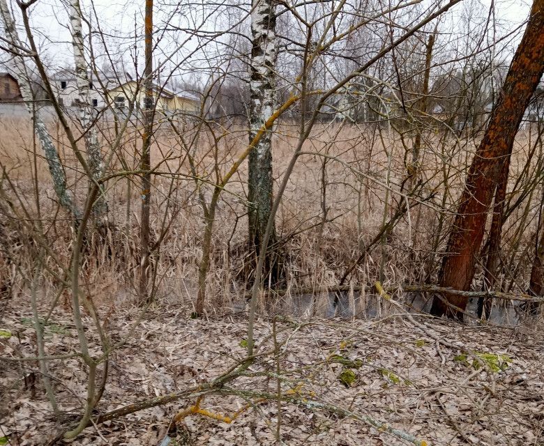 земля городской округ Воскресенск д Никольское ул Сургутская 25а фото 4