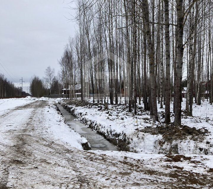 земля г Павловск снт Павловское-2 фото 2