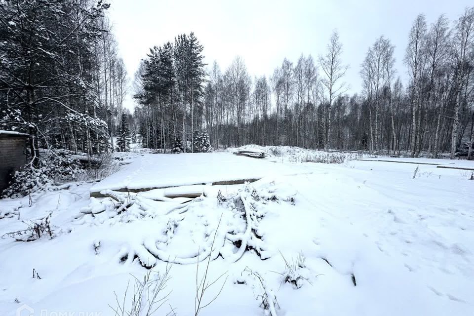 земля р-н Всеволожский д. Мистолово фото 3