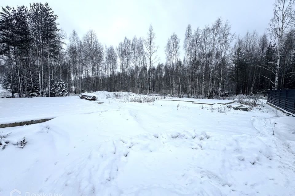 земля р-н Всеволожский д. Мистолово фото 4