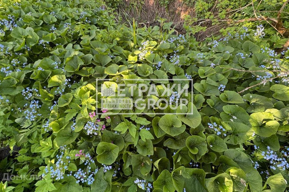 земля городской округ Сергиево-Посадский СНТ Родник-2 фото 4