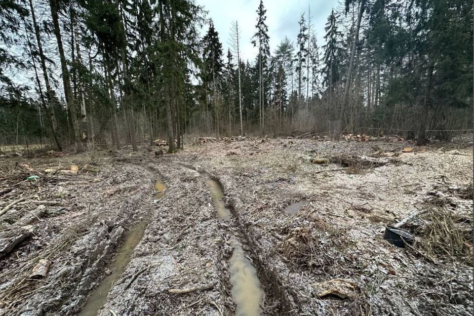 земля городской округ Наро-Фоминский д Сумино ул Лесная 1 фото 2