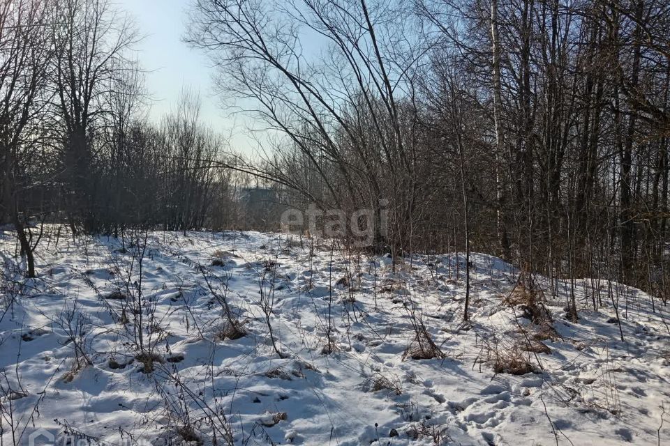 земля городской округ Подольск д. Валищево фото 3