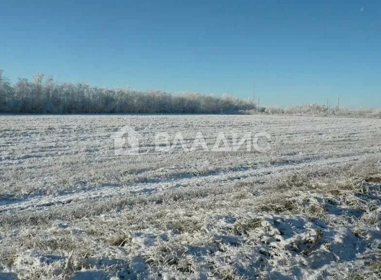 земля р-н Ломоносовский с Русско-Высоцкое Русско-Высоцкое кладбище фото 2