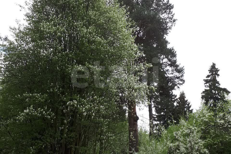 земля городской округ Солнечногорск д Рузино Химки городской округ, 34 фото 4