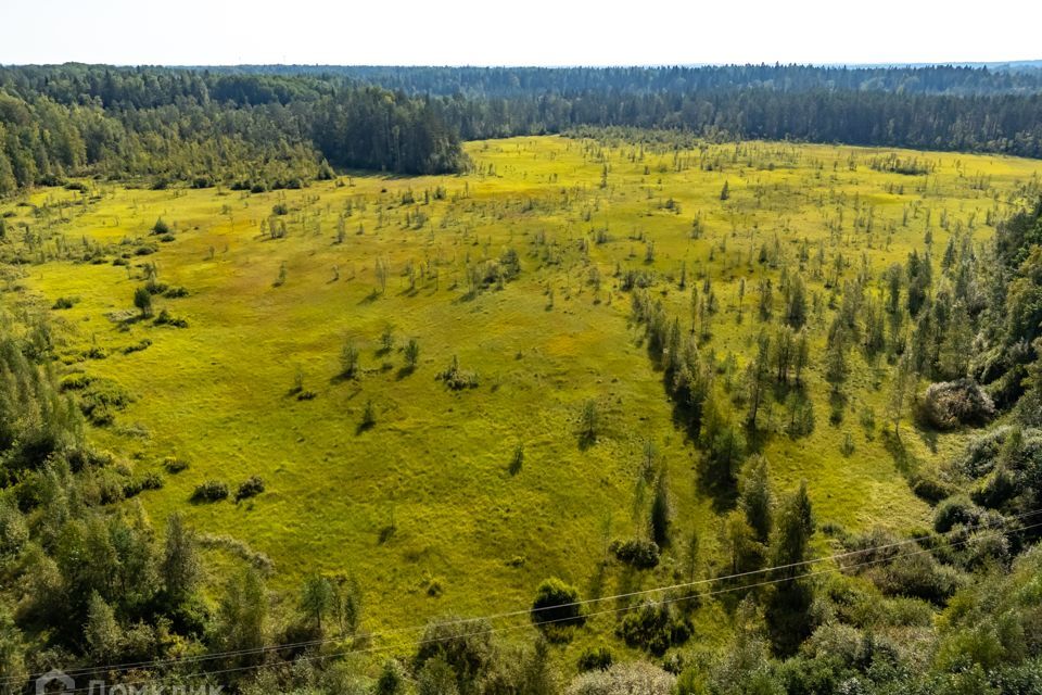 земля р-н Всеволожский фото 4