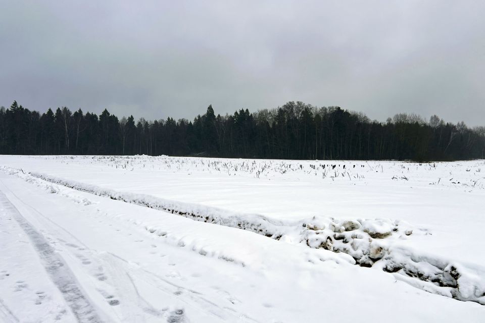 земля г Москва ул Снежная 21 дп. Ашукино, Московская область, Пушкинский городской округ фото 3