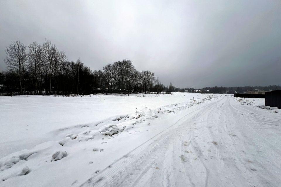 земля г Москва ул Снежная 21 дп. Ашукино, Московская область, Пушкинский городской округ фото 4