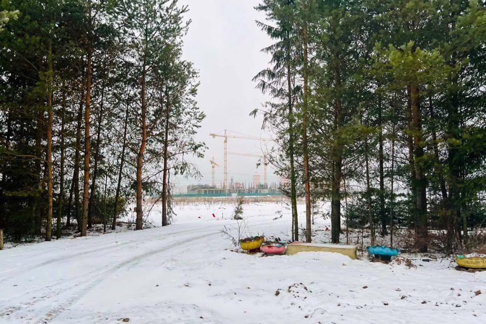 земля городской округ Пушкинский с Братовщина ул 1-я Станционная 17а фото 2