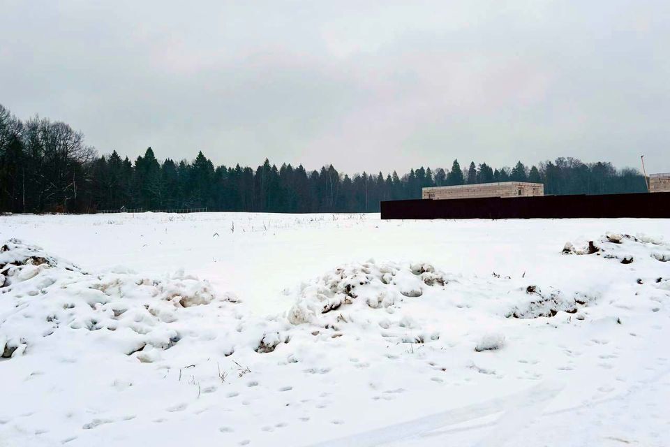 земля городской округ Пушкинский д Василёво 81 фото 2