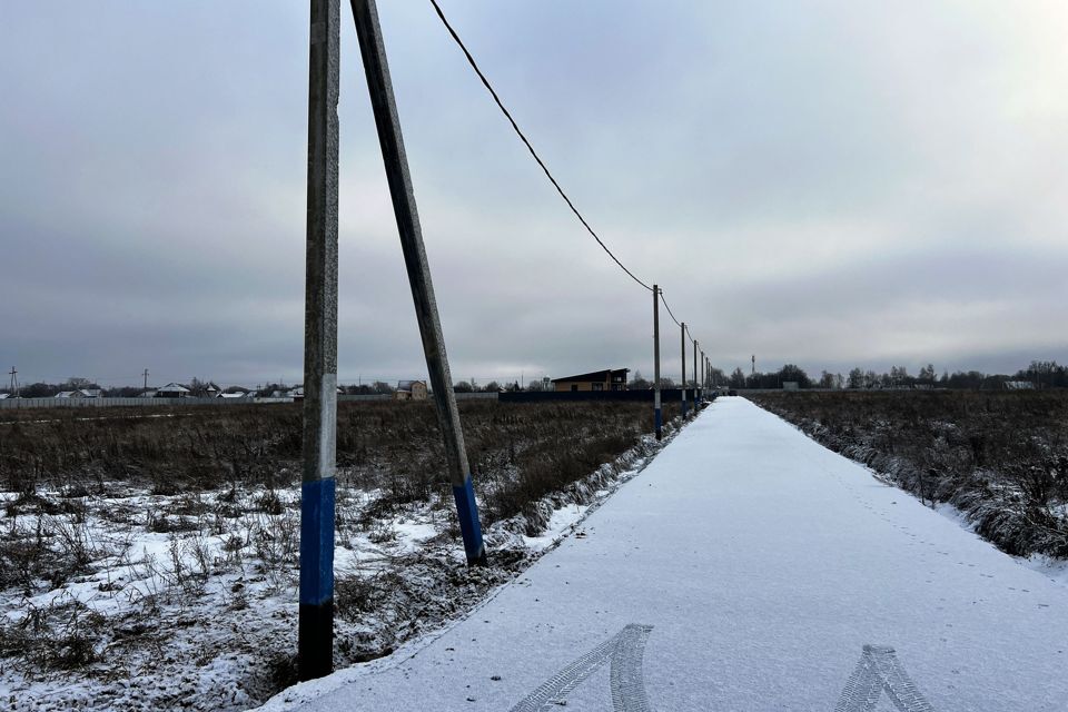 земля г Домодедово снт Кузьминки-2 185, Домодедово городской округ фото 4