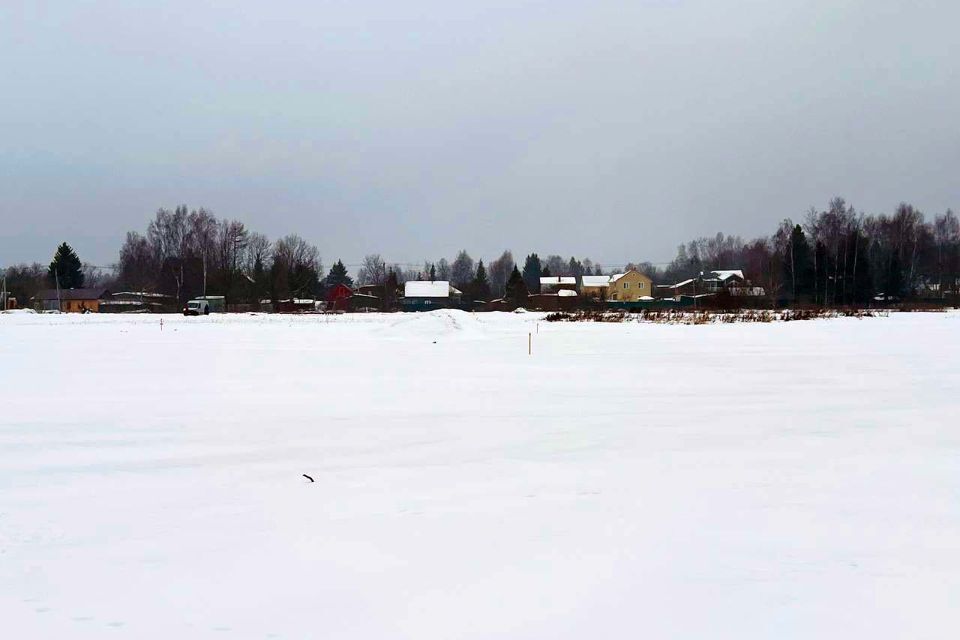 земля городской округ Пушкинский д Василёво 81 фото 3