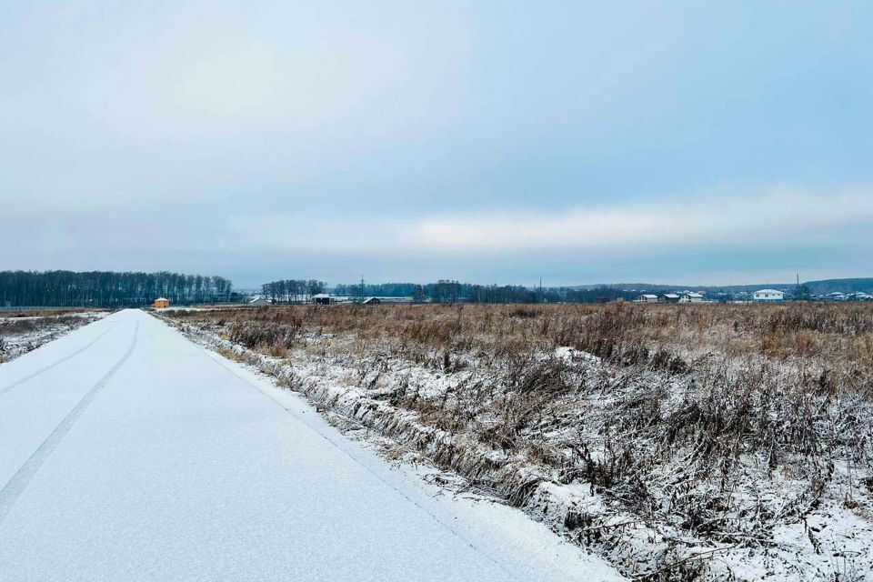 земля городской округ Волоколамский с Кузьминское 7/1, Домодедово городской округ фото 3