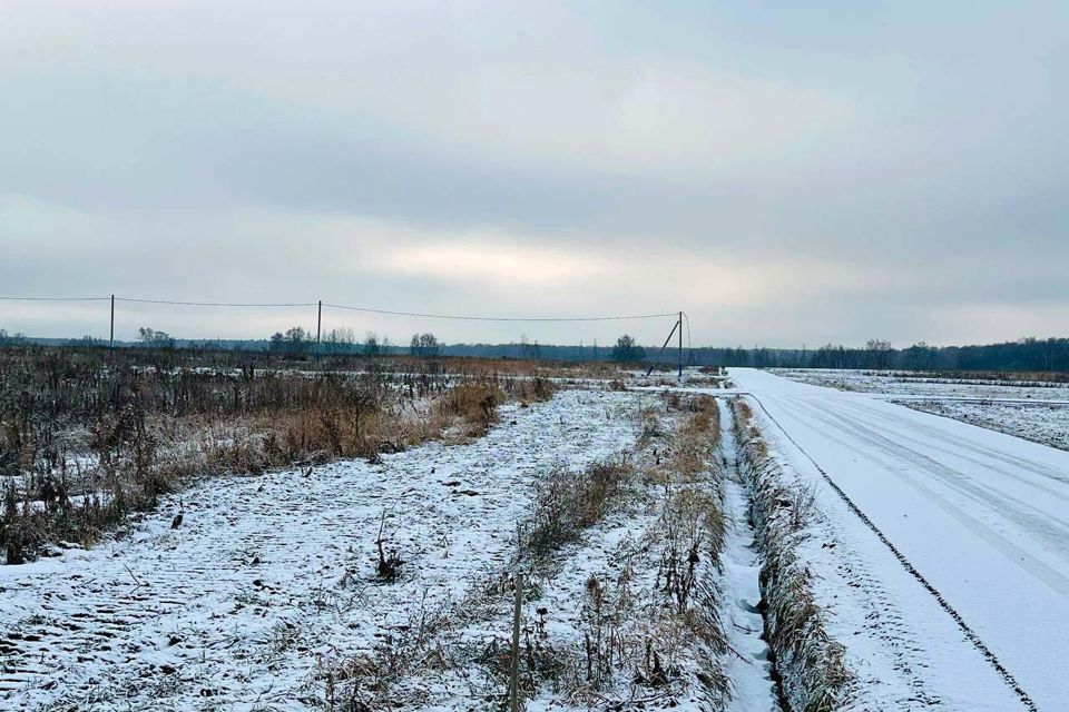 земля городской округ Волоколамский с Кузьминское 7/1, Домодедово городской округ фото 4