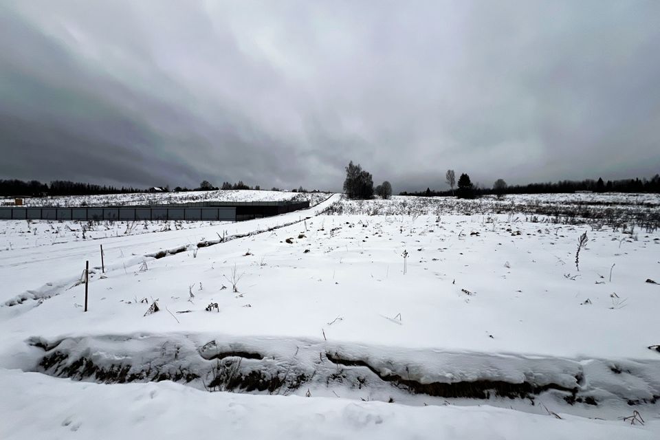 земля городской округ Дмитровский фото 3