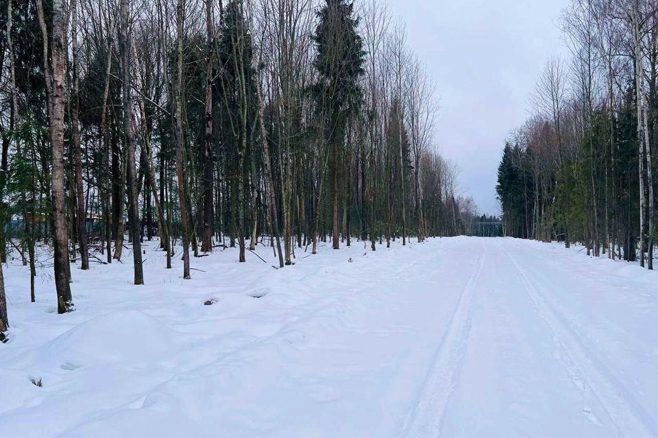 земля городской округ Дмитровский д Медведково 39 фото 3