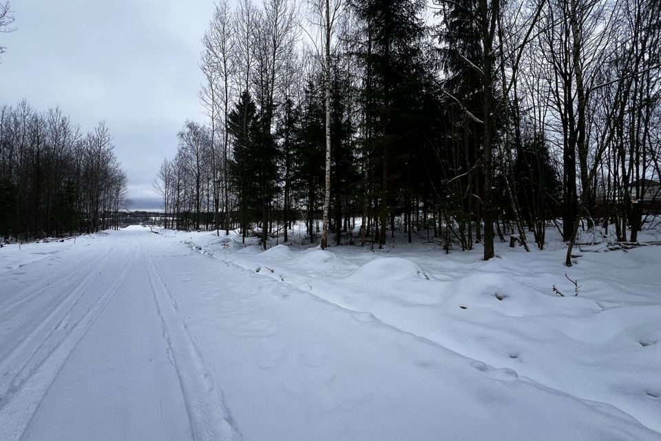 земля городской округ Дмитровский фото 4