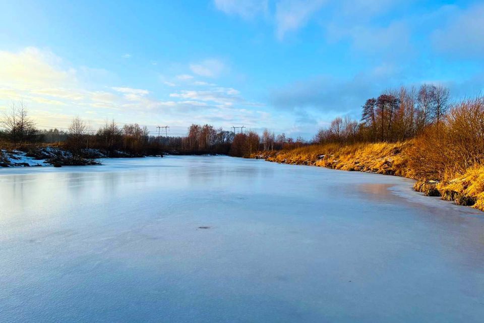 земля городской округ Раменский д Васильево 19а фото 3